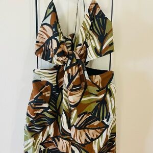 Zara Multicolor Backless Dress